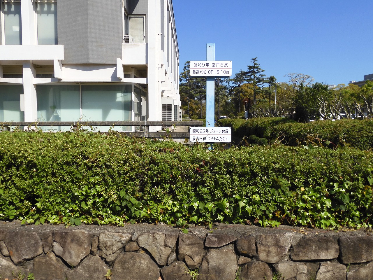 市